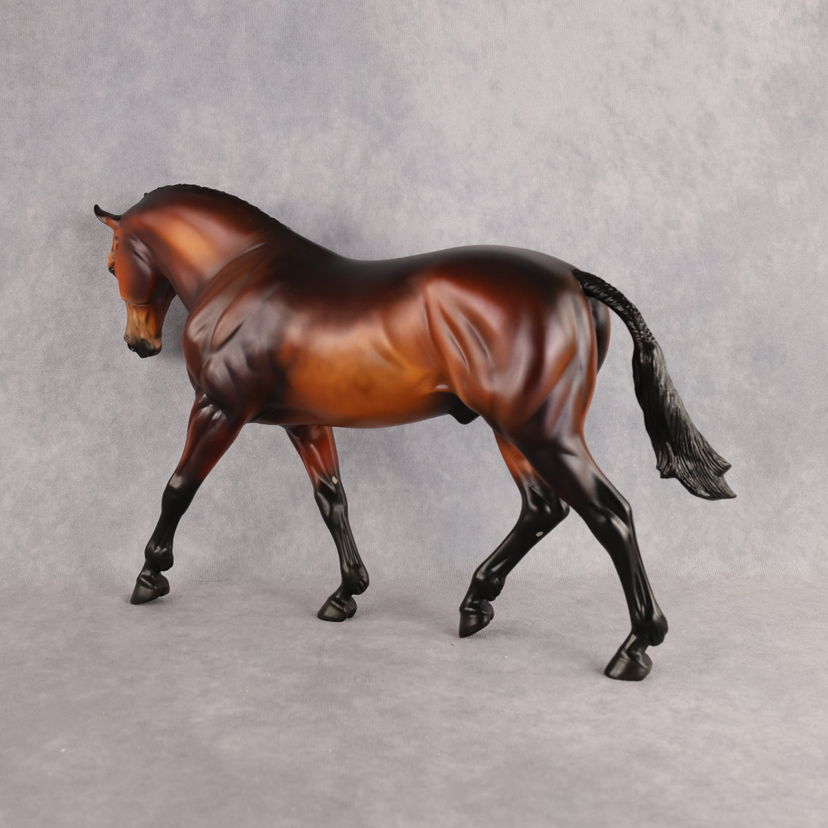 Wellington LE-15 FCM Irish Draught by Anna Rieck PFP26