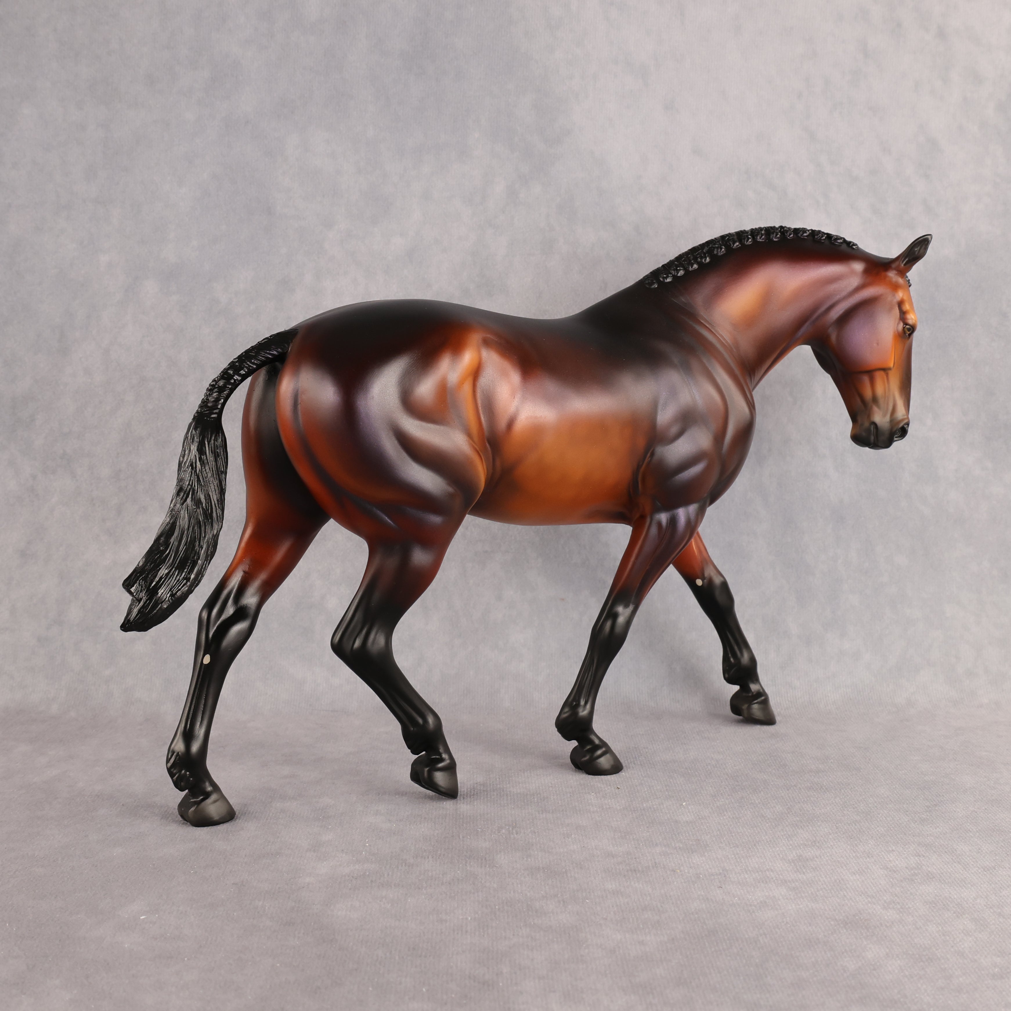 Wellington LE-15 FCM Irish Draught by Anna Rieck PFP26