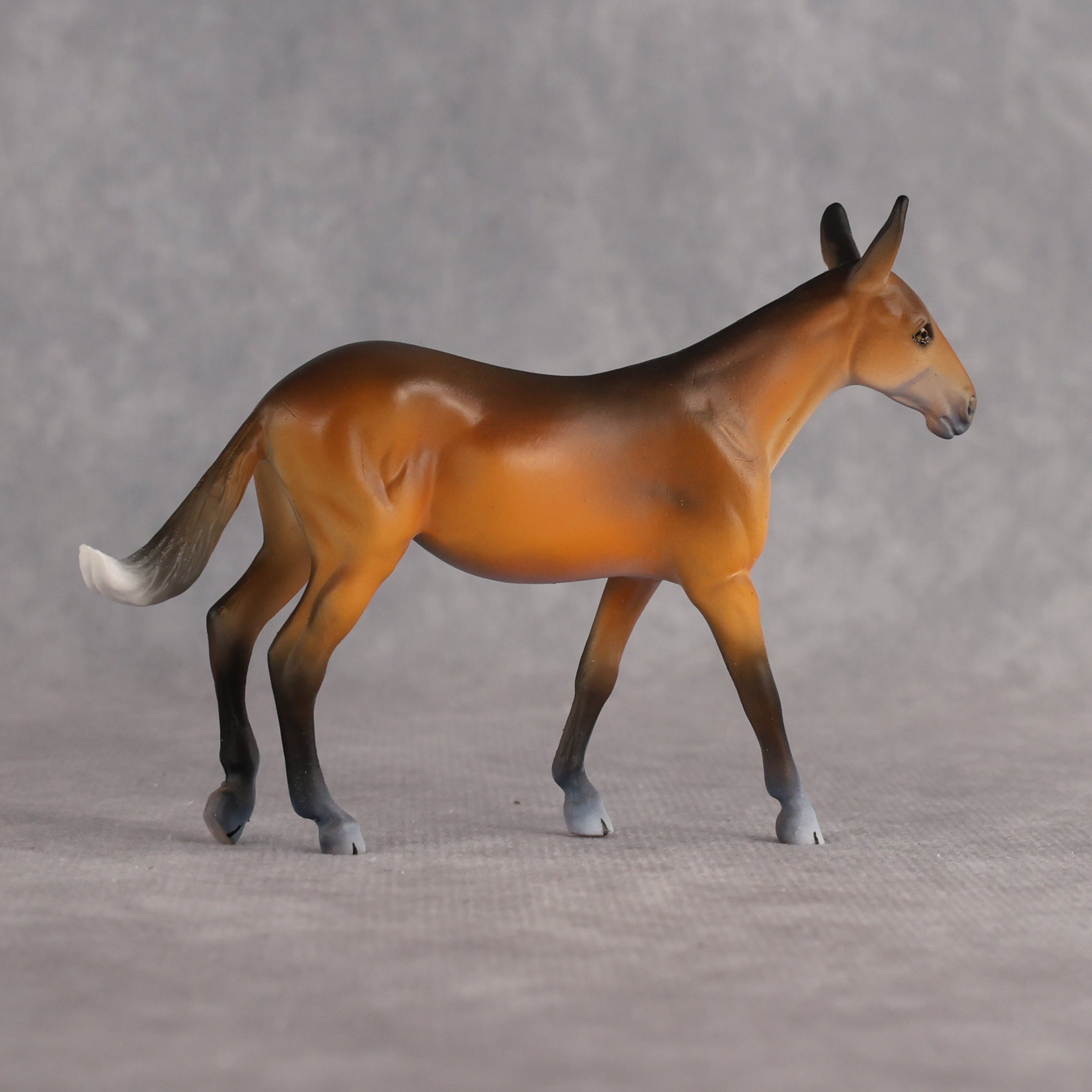 Werepup Larka LE-5 FCM Chip Arabian by Carissa Mathews Ro326