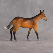 Werepup Larka LE-5 FCM Chip Arabian by Carissa Mathews Ro326