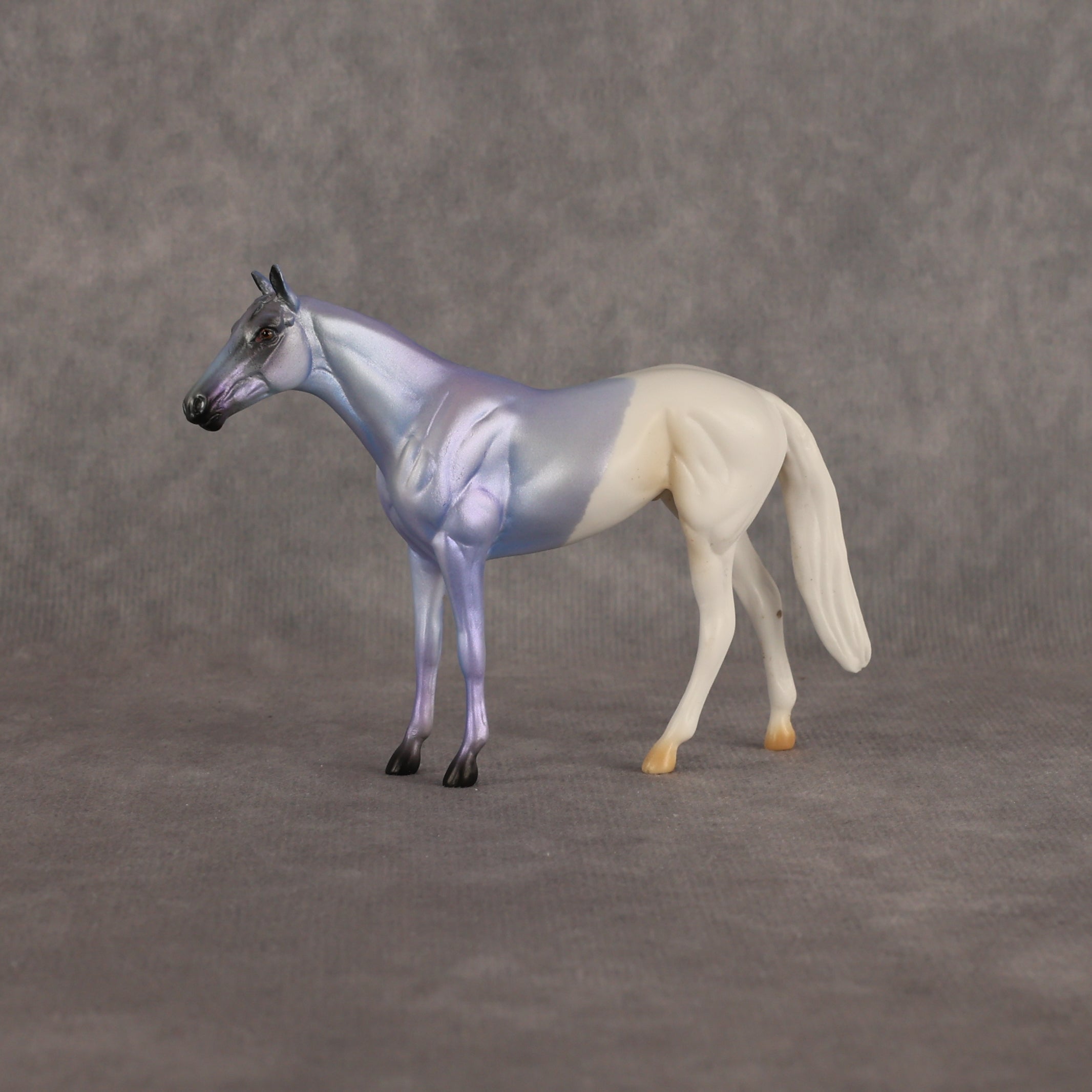 Where Are My Pants OOAK Chip Thoroughbred  by Alex Fortman EQ26