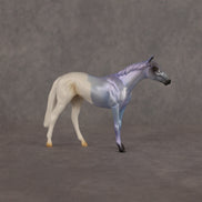 Where Are My Pants OOAK Chip Thoroughbred  by Alex Fortman EQ26