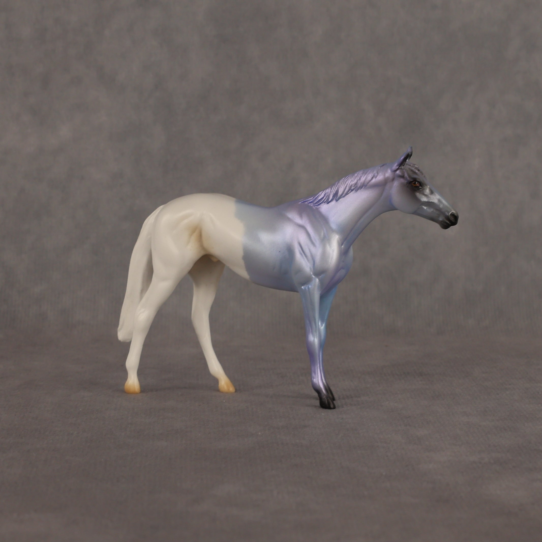 Where Are My Pants OOAK Chip Thoroughbred  by Alex Fortman EQ26