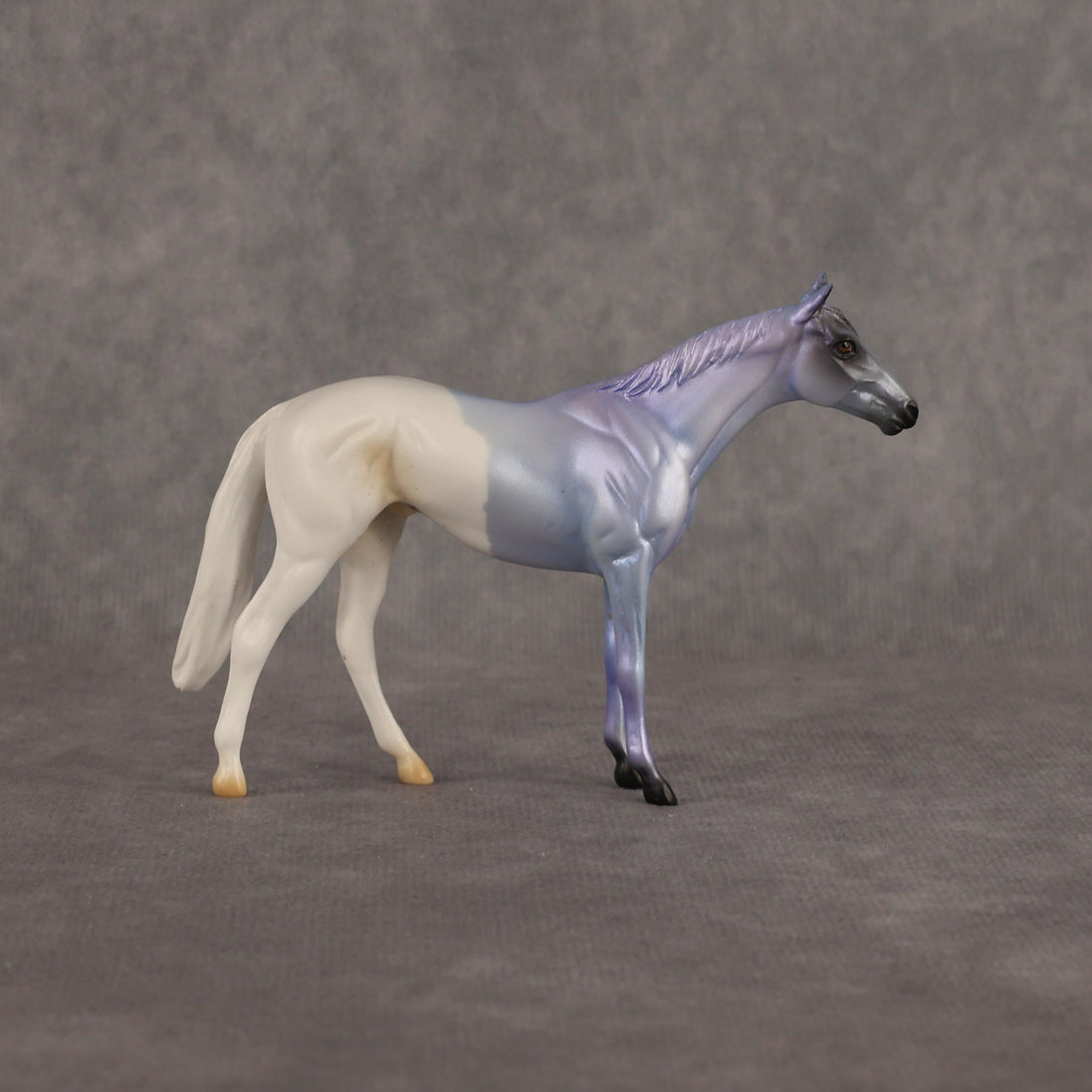 Where Are My Pants OOAK Chip Thoroughbred  by Alex Fortman EQ26