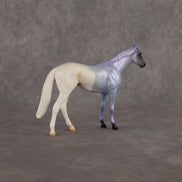 Where Are My Pants OOAK Chip Thoroughbred  by Alex Fortman EQ26