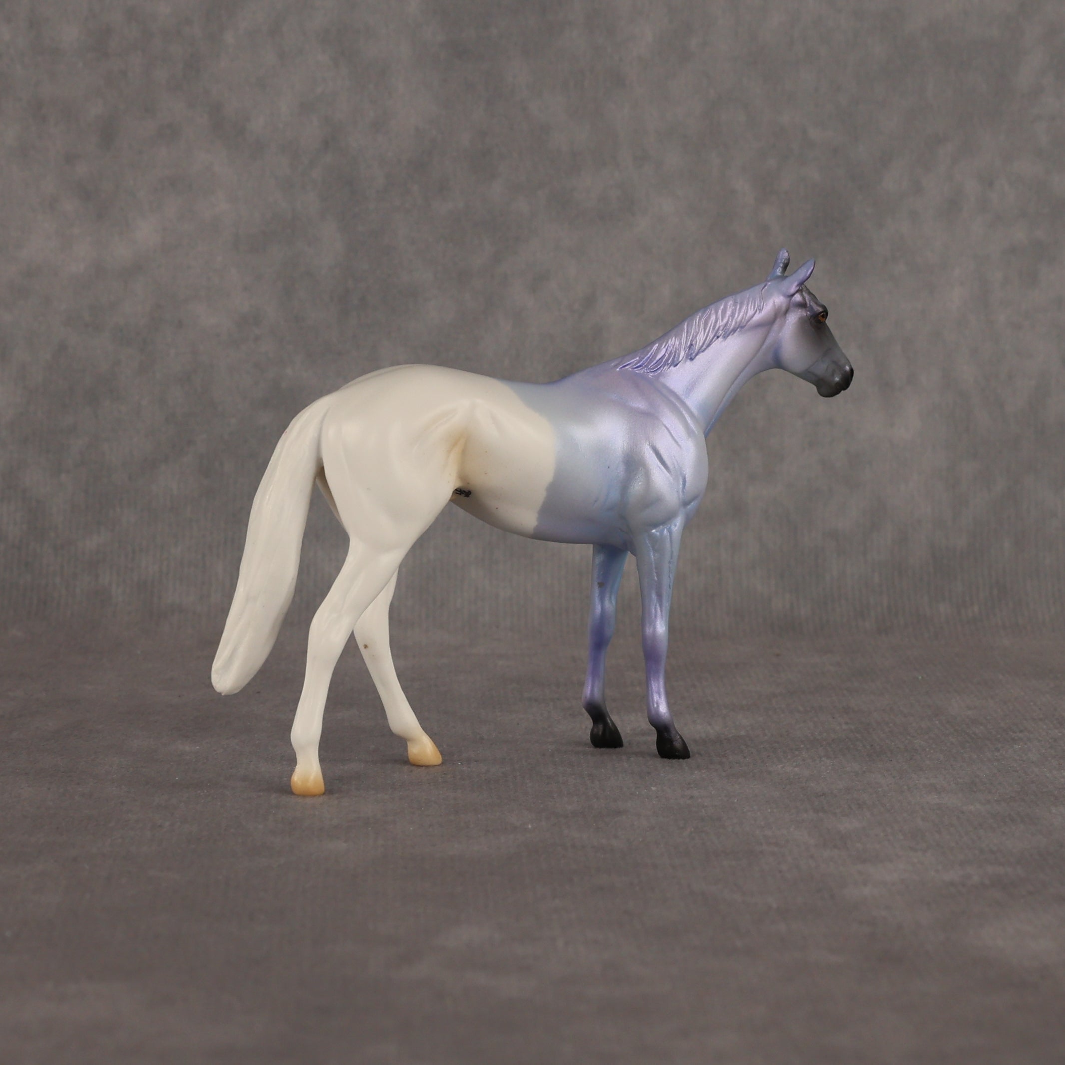 Where Are My Pants OOAK Chip Thoroughbred  by Alex Fortman EQ26