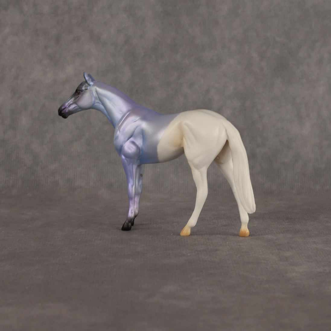 Where Are My Pants OOAK Chip Thoroughbred  by Alex Fortman EQ26