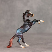 Whirlpool OOAK Chip Mustang by Julie Keim VV26