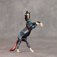 Whirlpool OOAK Chip Mustang by Julie Keim VV26