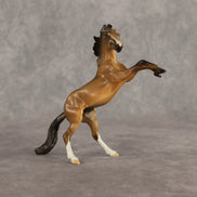 Whiskey LE-5 Chip Mustang by Anna Rieck June $99 Chips