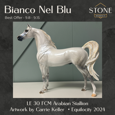 SAMPLE Bianco Nel Blu LE-30 Run Dappled Grey with Gold Accented Mane Custom Arabian By Carrie Keller  EQ24 Based on AotH Entry Digital Art From Zoja Makovec SS0826
