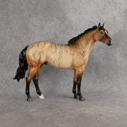 Wild Gossamer LE-15 FCM Ideal Stock Horse by Ellen Robbins YP26