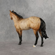 Wild Gossamer LE-15 FCM Ideal Stock Horse by Ellen Robbins YP26