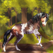 Wild Beauty Ari Meekma.jpg__PID:7086673a-d17d-4e91-b244-fb24bb03721b