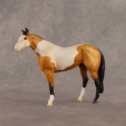 William OOAK Chip Stock Horse by Madi Wiseman EQ26