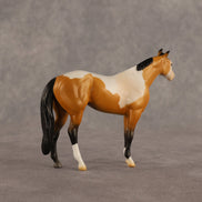 William OOAK Chip Stock Horse by Madi Wiseman EQ26