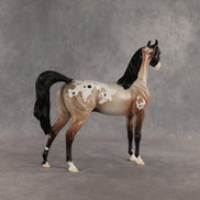 Wine Red Malt OOAK Arabian Stallion by Alexis Fortman DDOOAKs26