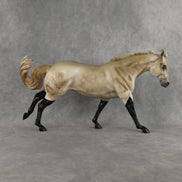 Winter Chill OOAK FCM Remington by Anna Rieck DDOOAKs26