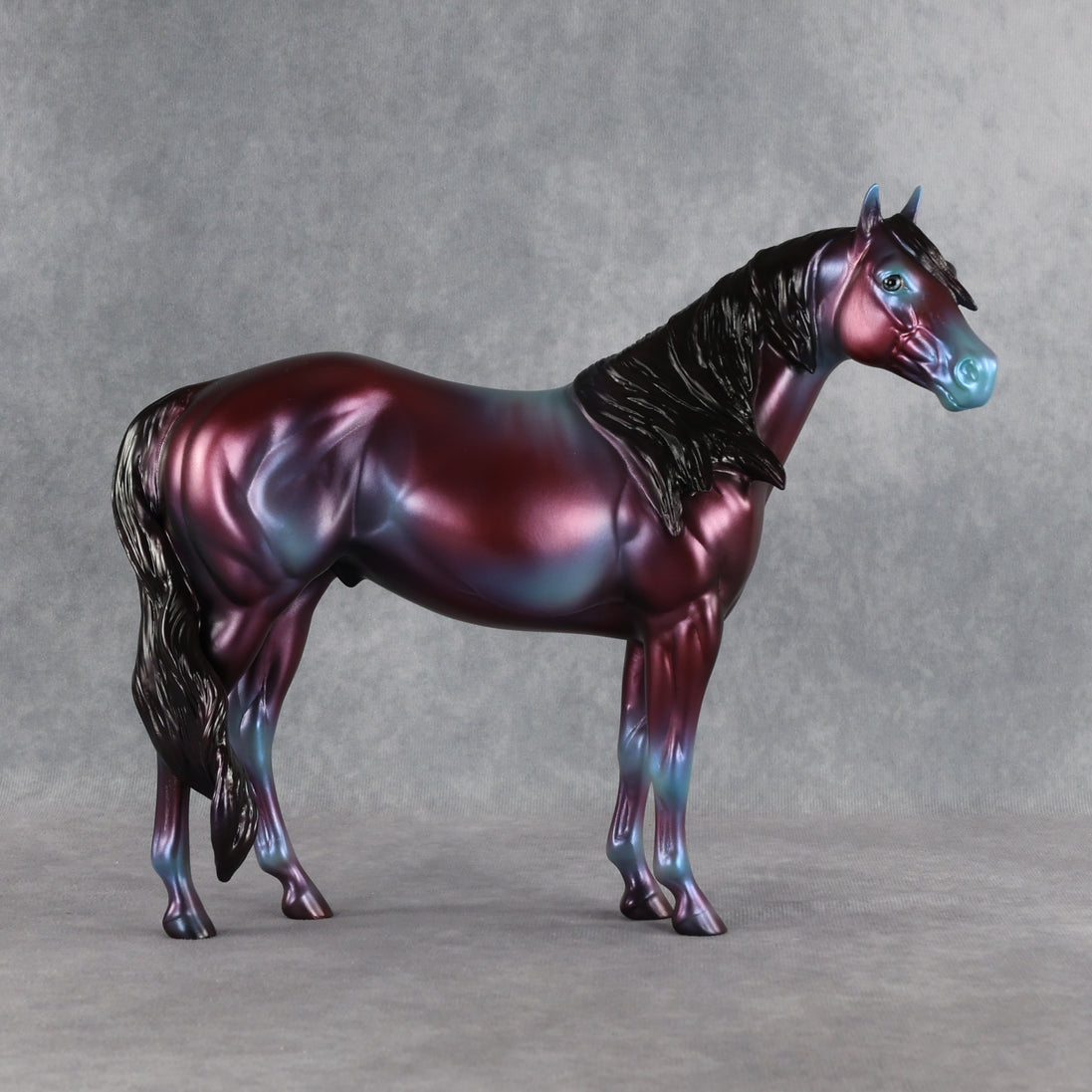 SAMPLE Niveous FCM Ideal Stock Horse by Jess Hamill SS0926 9.22.2026
