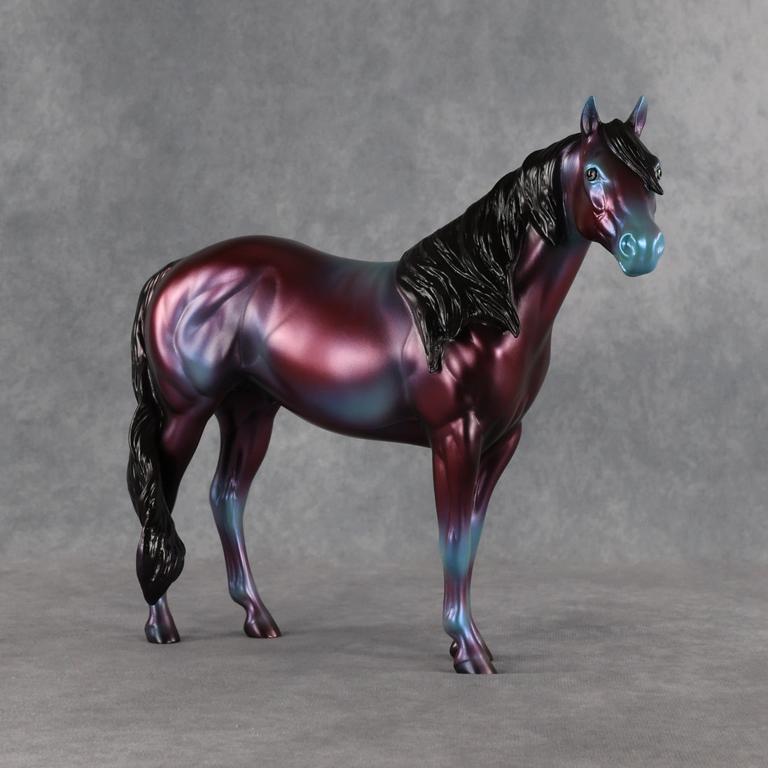 Niveous LE-3 FCM Ideal Stock Horse by Jess Hamill EQ26