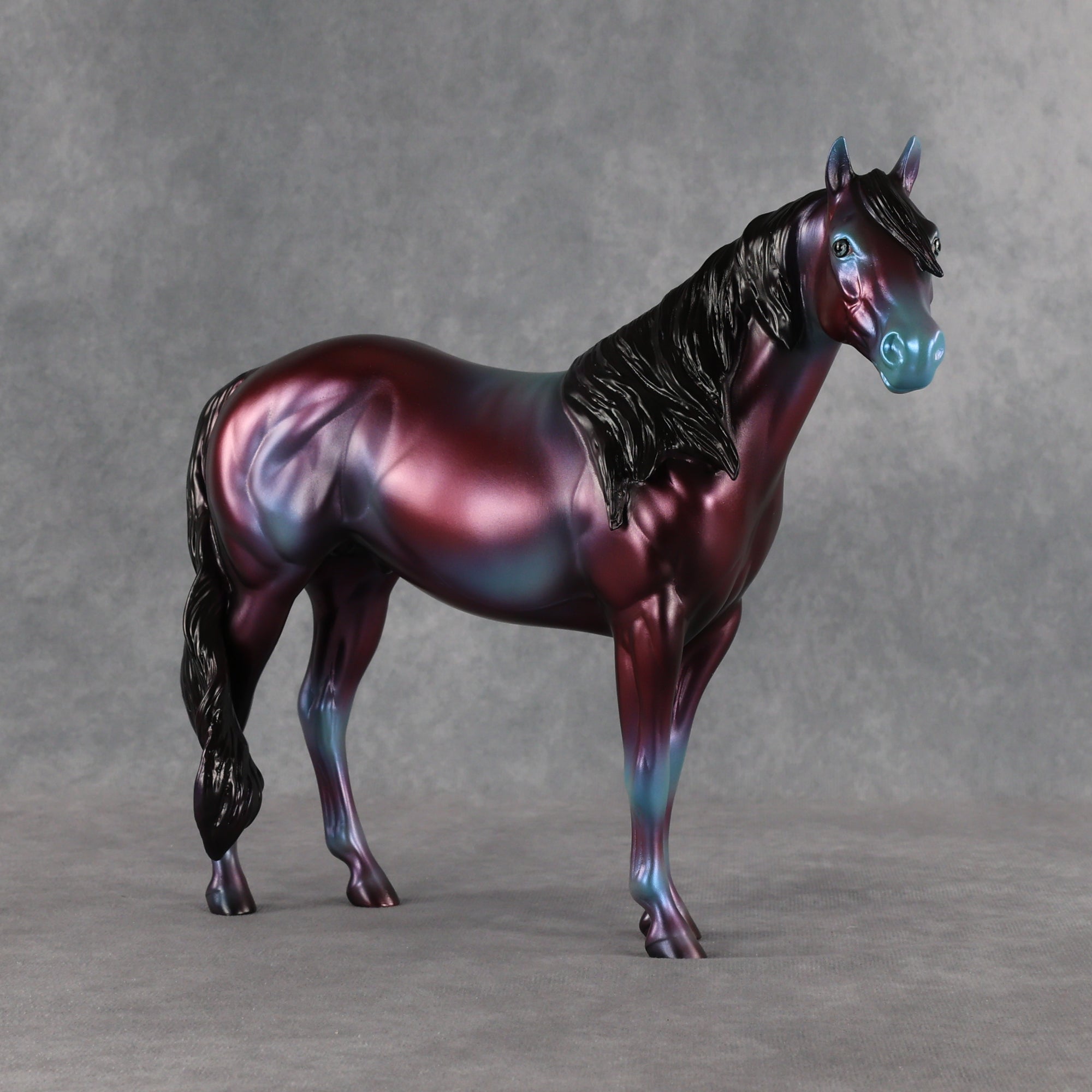 Niveous LE-3 FCM Ideal Stock Horse by Jess Hamill EQ26