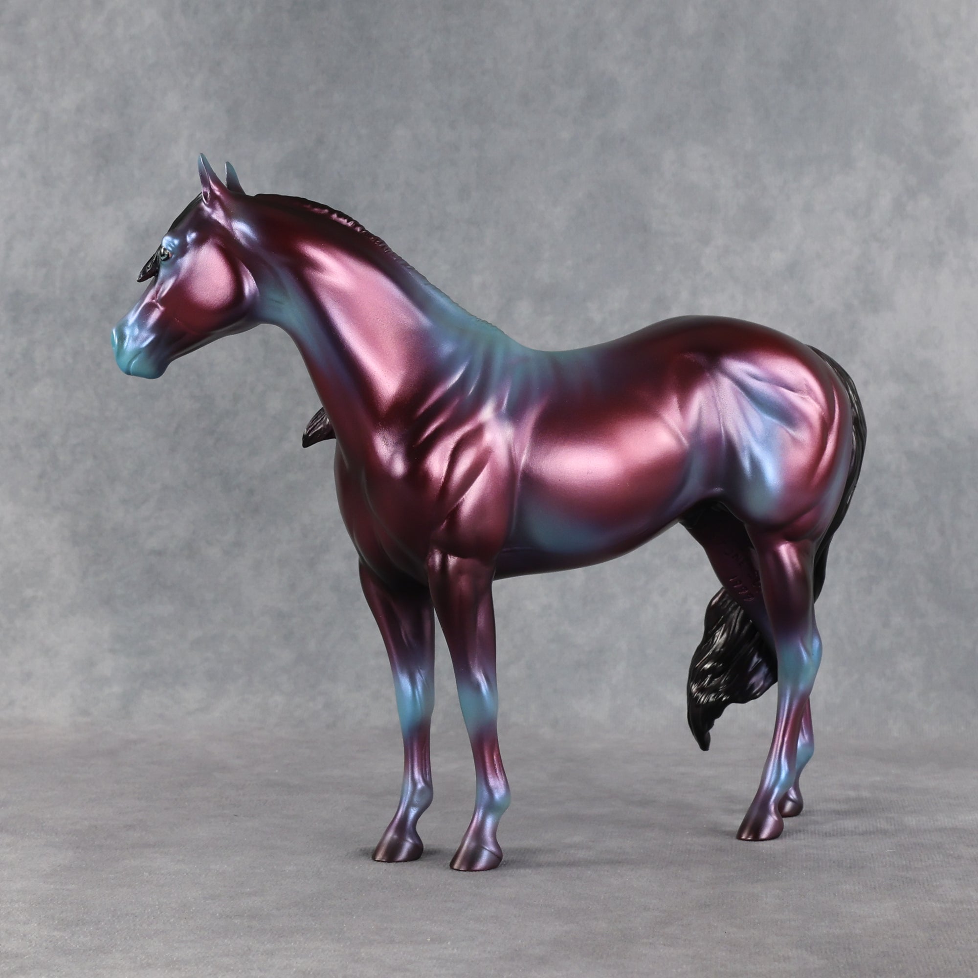 Niveous LE-3 FCM Ideal Stock Horse by Jess Hamill EQ26