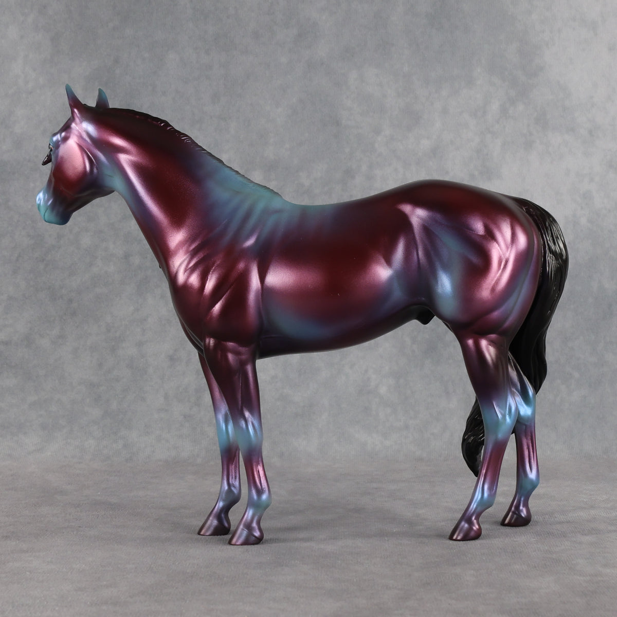 SAMPLE Niveous FCM Ideal Stock Horse by Jess Hamill SS0926 9.22.2026