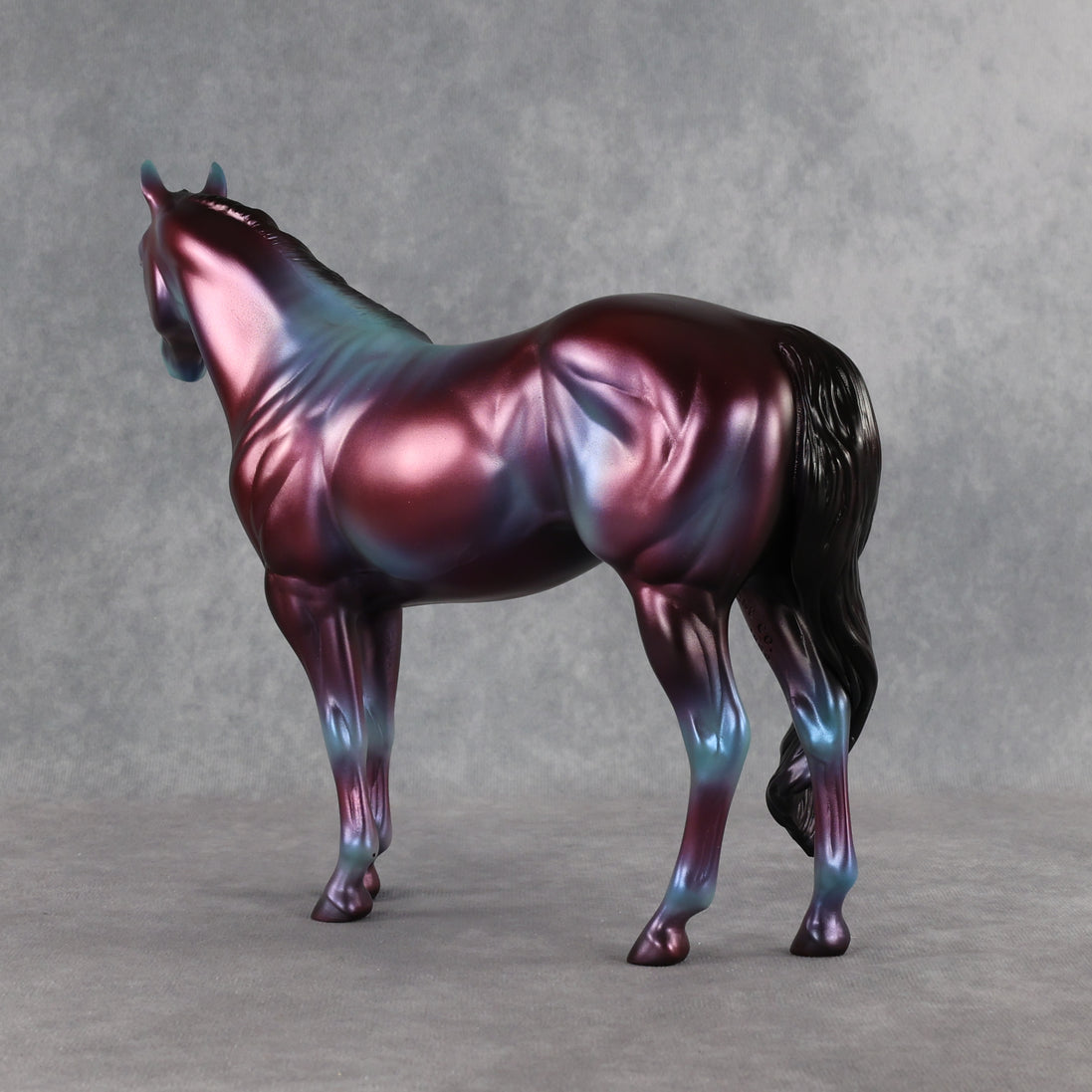 SAMPLE Niveous FCM Ideal Stock Horse by Jess Hamill SS0926 9.22.2026