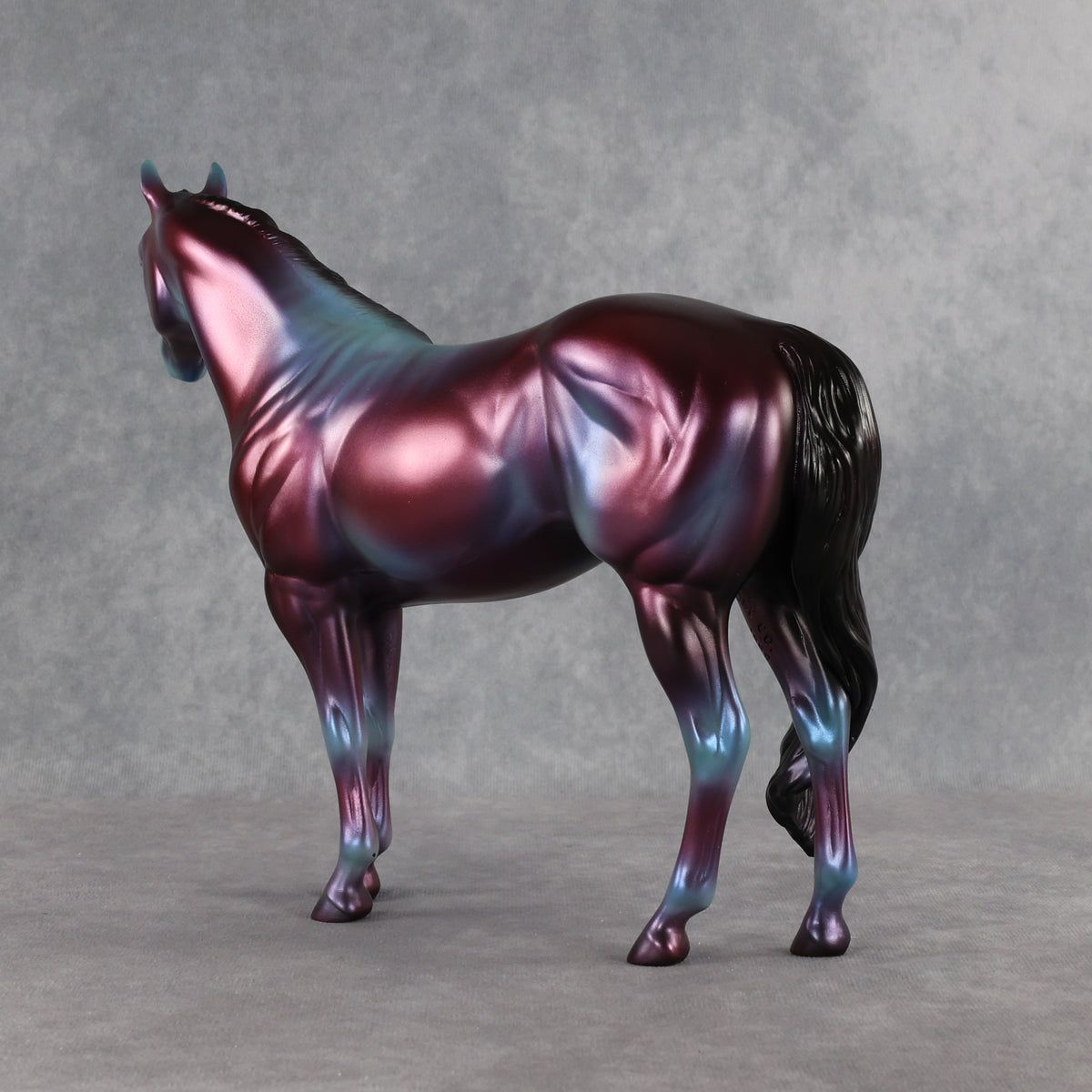Niveous LE-3 FCM Ideal Stock Horse by Jess Hamill EQ26