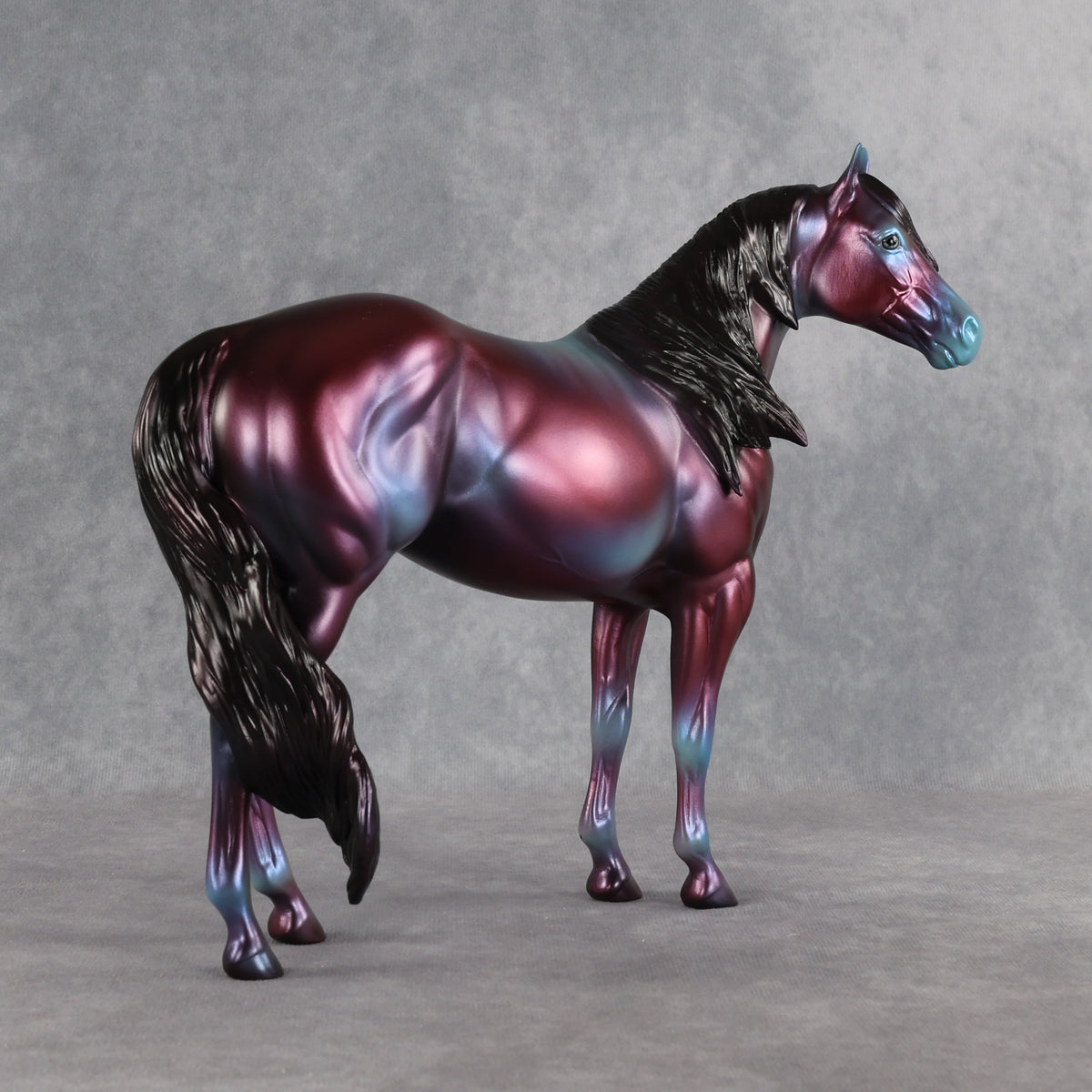 Niveous LE-3 FCM Ideal Stock Horse by Jess Hamill EQ26