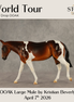World Tour OOAK Large Mule by Kristian Beverly DDOOAKs26
