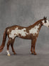 World Tour OOAK Ideal Stock Horse by Jess Hamill SHCF26