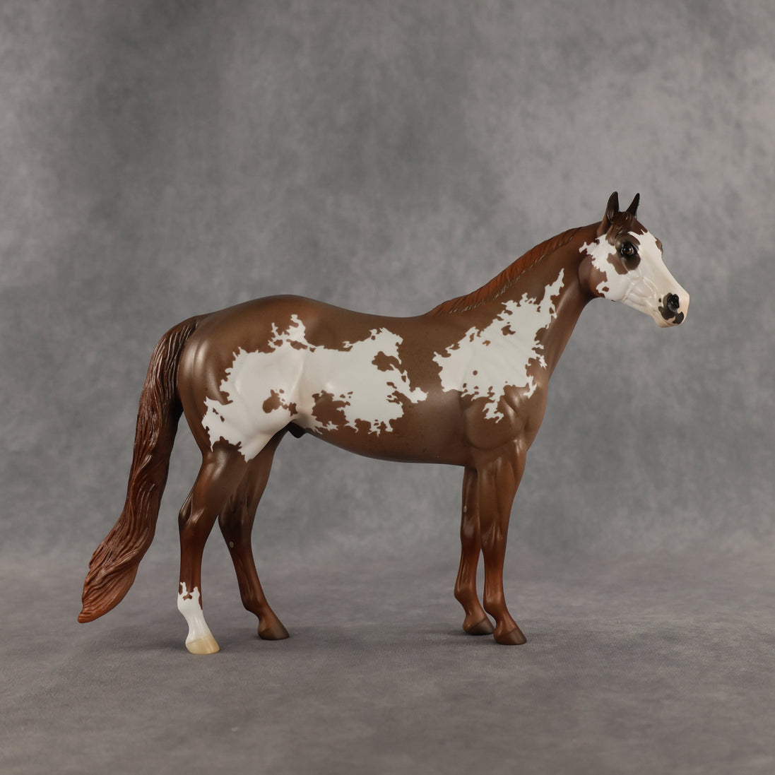World Tour OOAK Ideal Stock Horse by Jess Hamill SHCF26