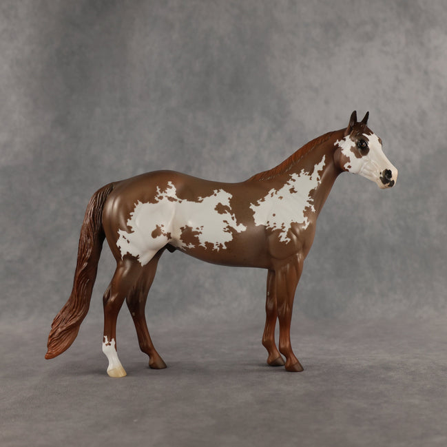 World Tour OOAK Ideal Stock Horse by Jess Hamill SHCF26