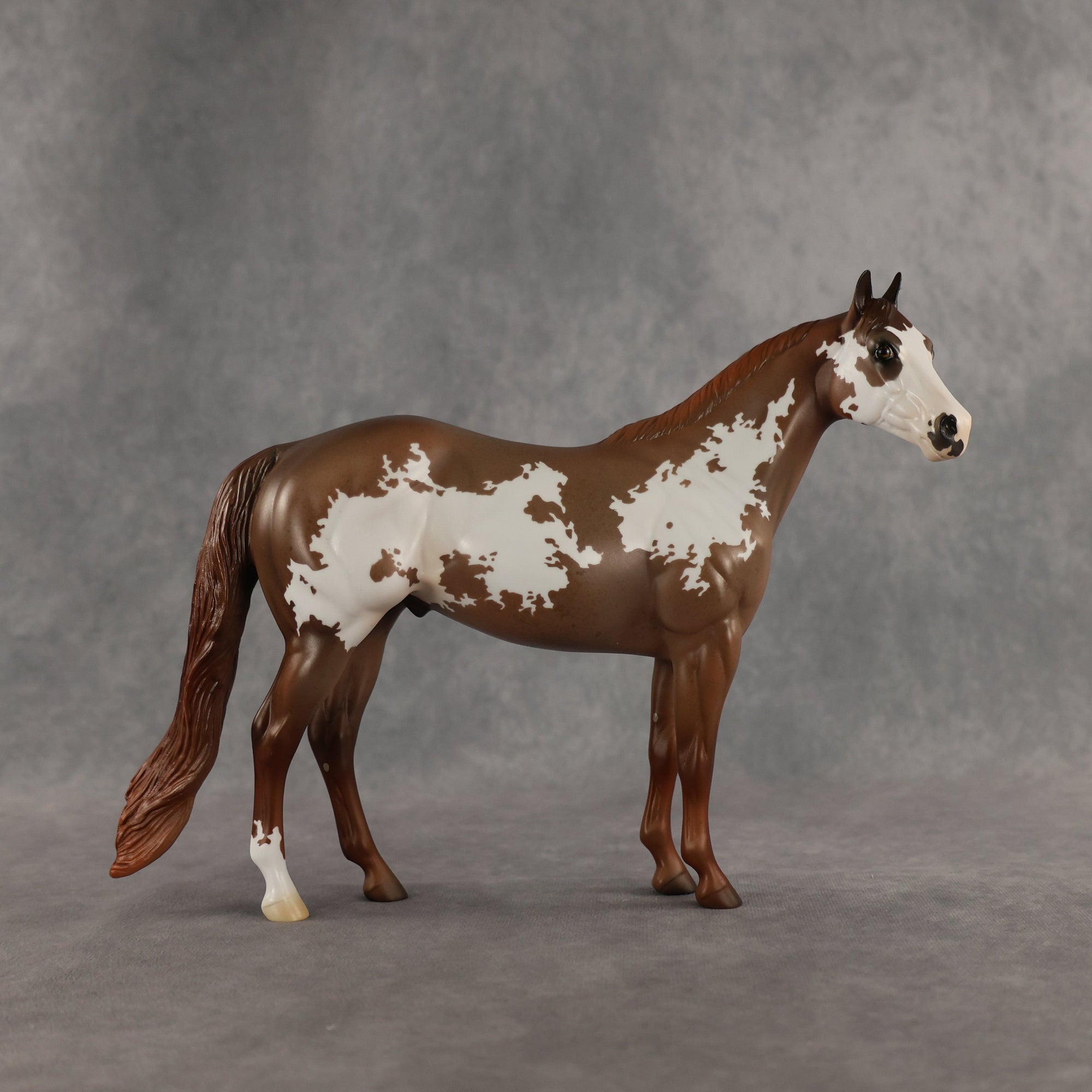 World Tour OOAK Ideal Stock Horse by Jess Hamill SHCF26