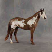 World Tour OOAK Ideal Stock Horse by Jess Hamill SHCF26