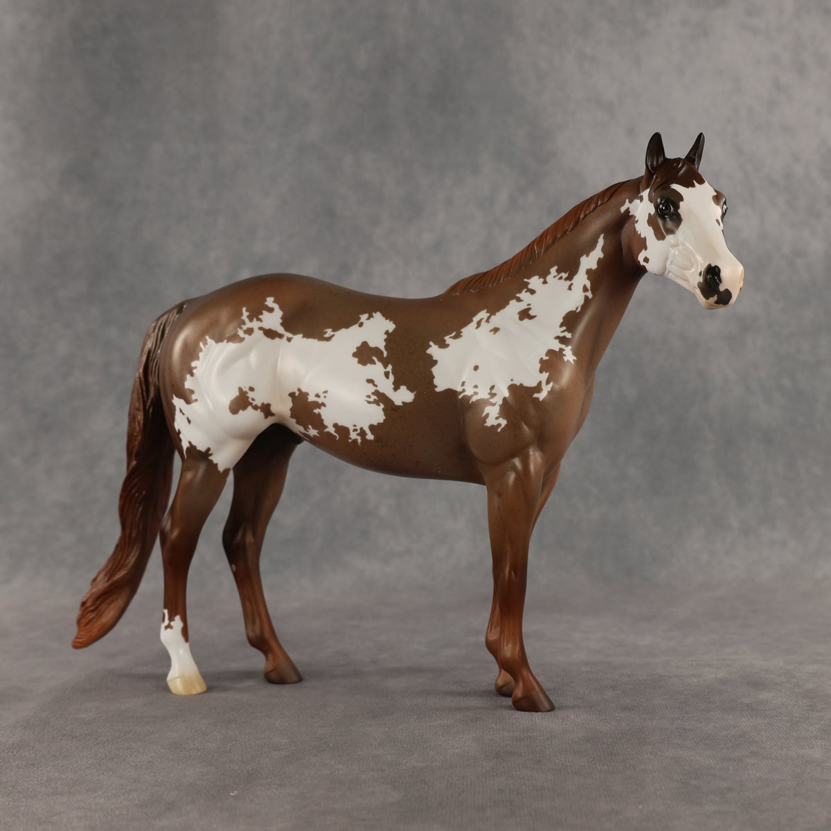 World Tour OOAK Ideal Stock Horse by Jess Hamill SHCF26