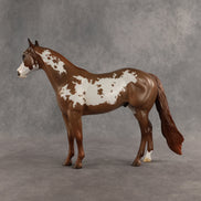 World Tour OOAK Ideal Stock Horse by Jess Hamill SHCF26