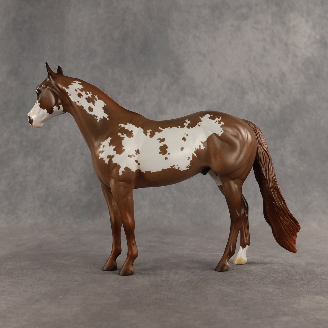 World Tour OOAK Ideal Stock Horse by Jess Hamill SHCF26