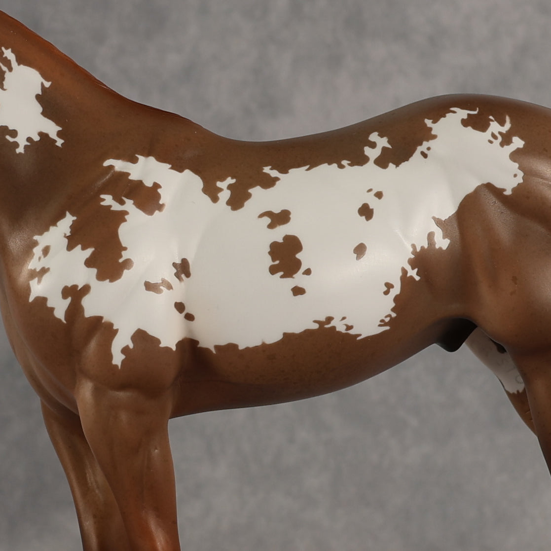 World Tour OOAK Ideal Stock Horse by Jess Hamill SHCF26