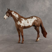 World Tour OOAK Ideal Stock Horse by Jess Hamill SHCF26