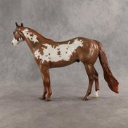 World Tour OOAK Ideal Stock Horse by Jess Hamill SHCF26
