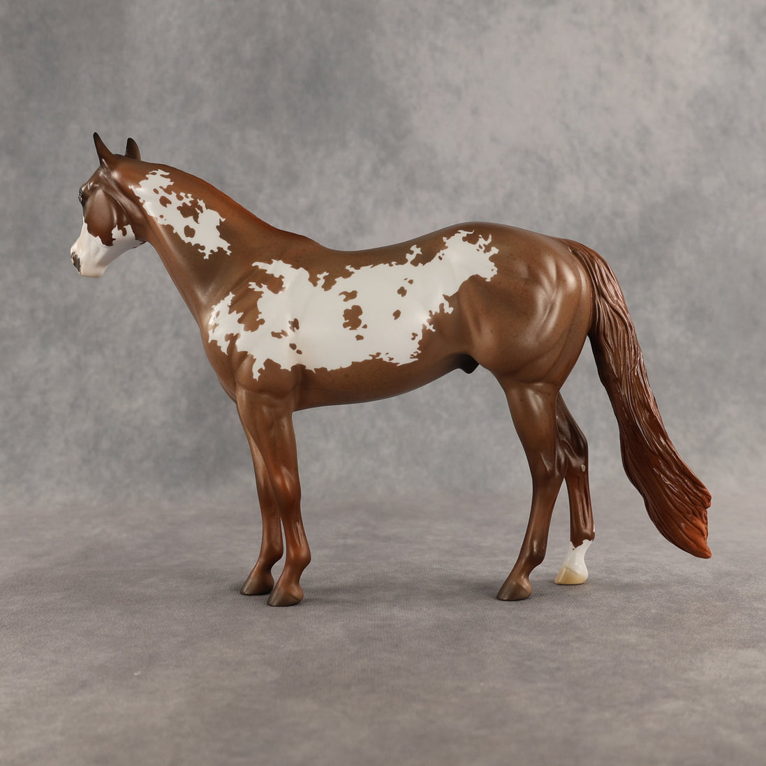 World Tour OOAK Ideal Stock Horse by Jess Hamill SHCF26