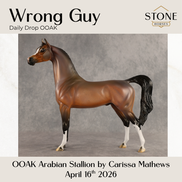 Wrong Guy OOAK Arabian Stallion by Carissa Mathews DDOOAKs26