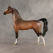 Wrong Guy OOAK Arabian Stallion by Carissa Mathews DDOOAKs26