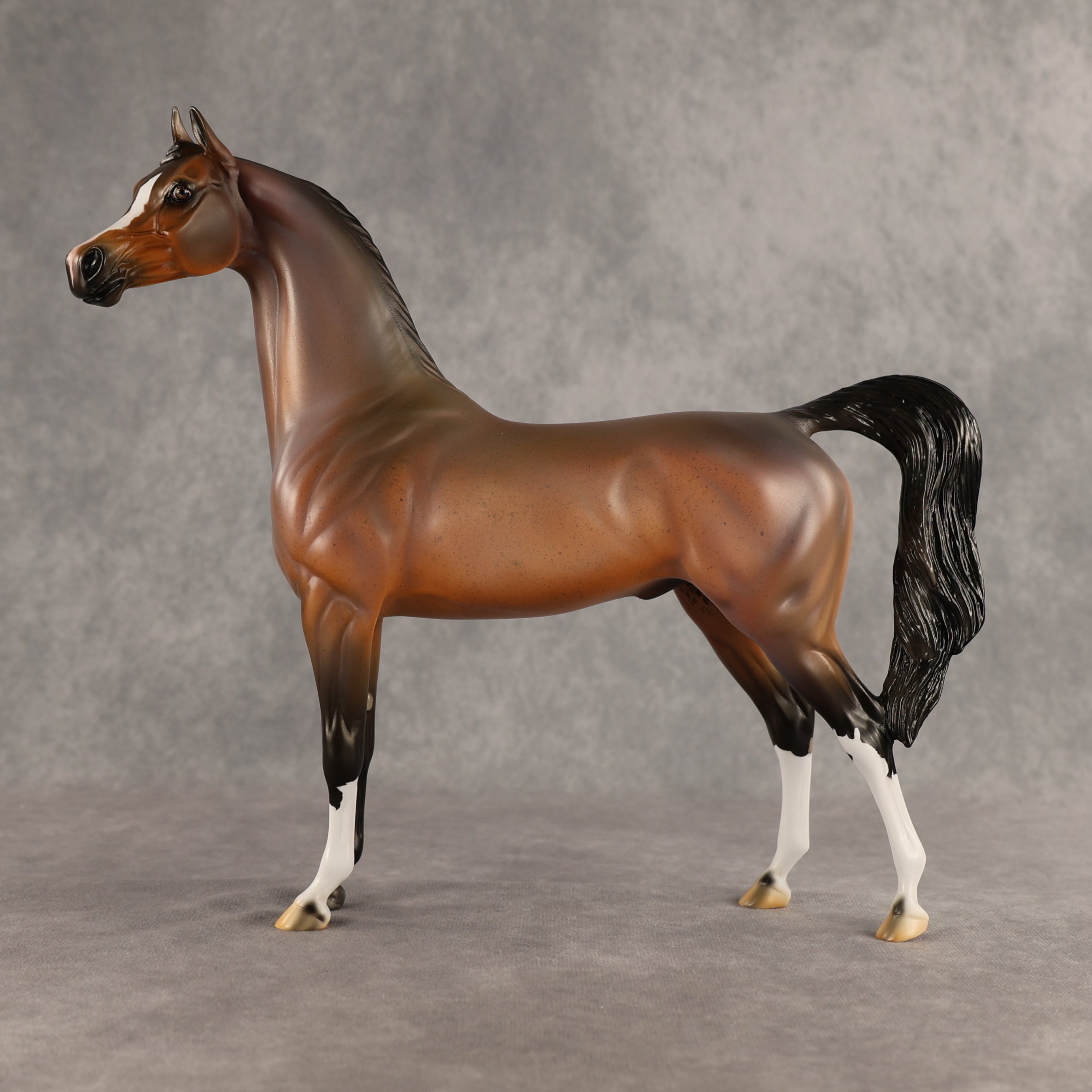 Wrong Guy OOAK Arabian Stallion by Carissa Mathews DDOOAKs26
