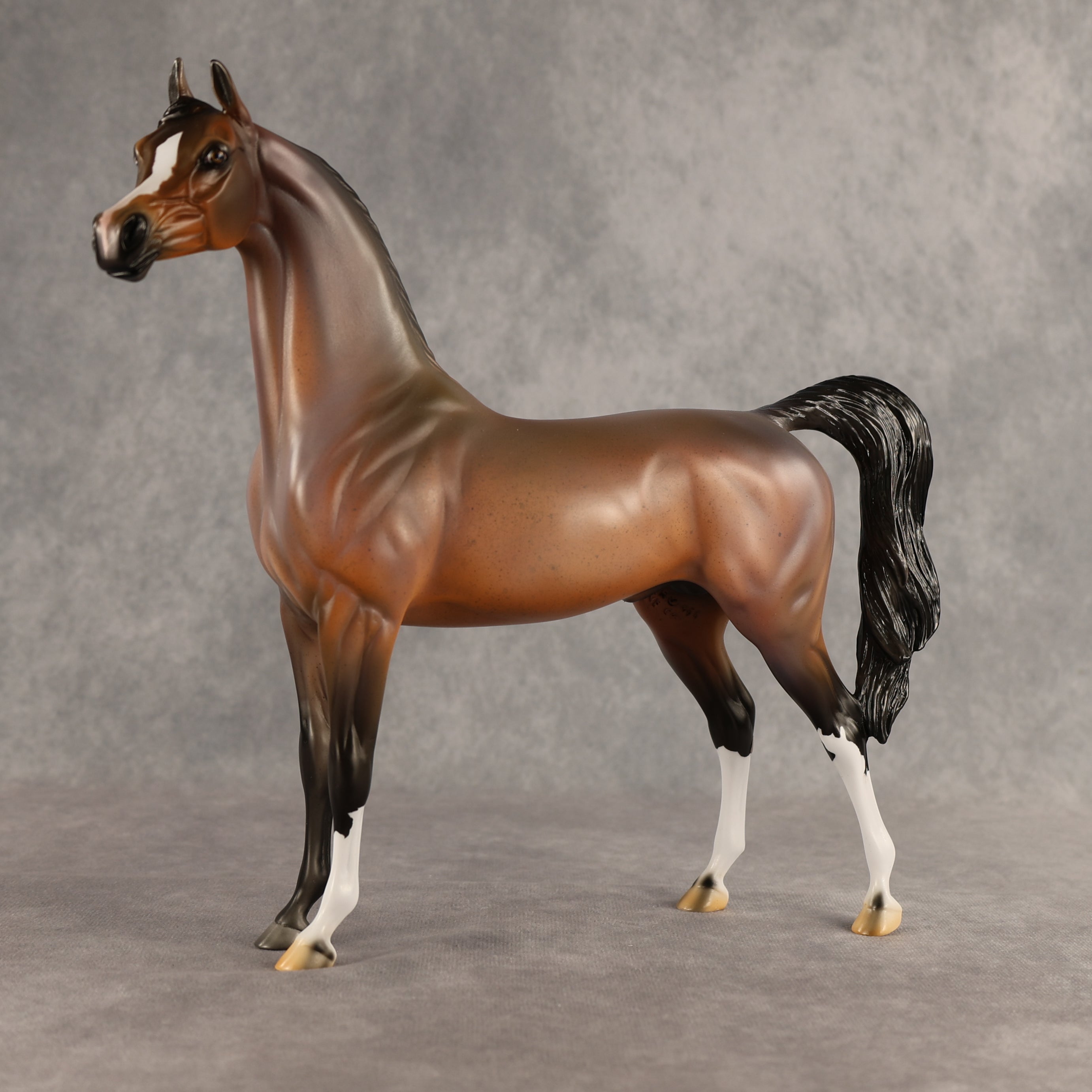 Wrong Guy OOAK Arabian Stallion by Carissa Mathews DDOOAKs26