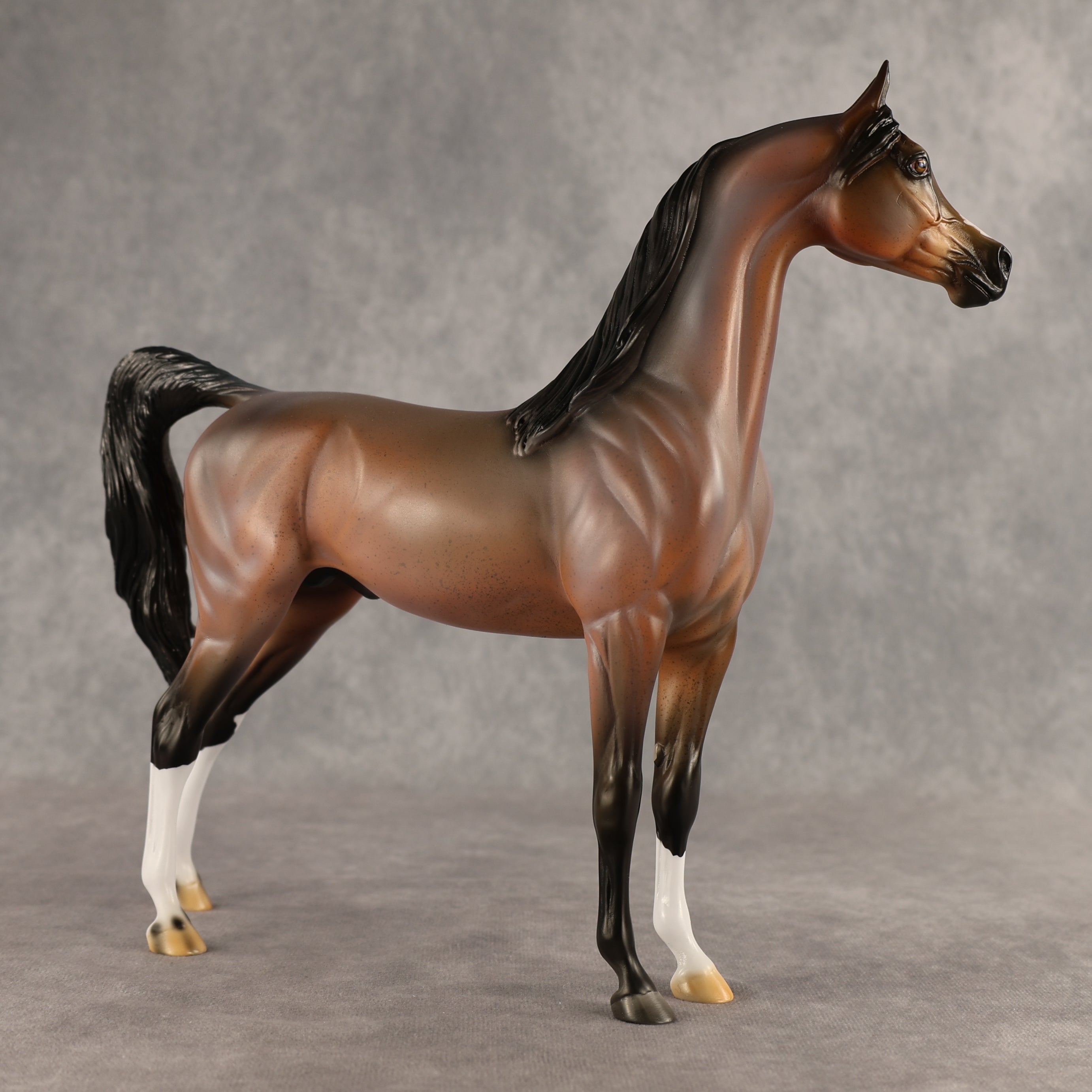 Wrong Guy OOAK Arabian Stallion by Carissa Mathews DDOOAKs26