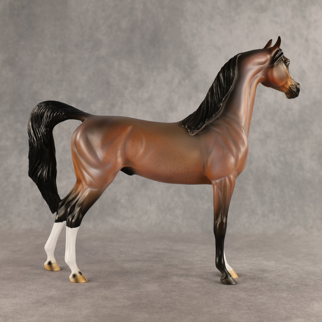 Wrong Guy OOAK Arabian Stallion by Carissa Mathews DDOOAKs26
