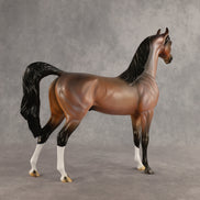 Wrong Guy OOAK Arabian Stallion by Carissa Mathews DDOOAKs26